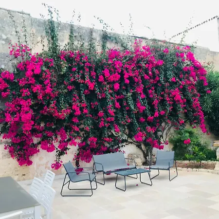 Holiday home Salento - Casa Pietrastella Presicce